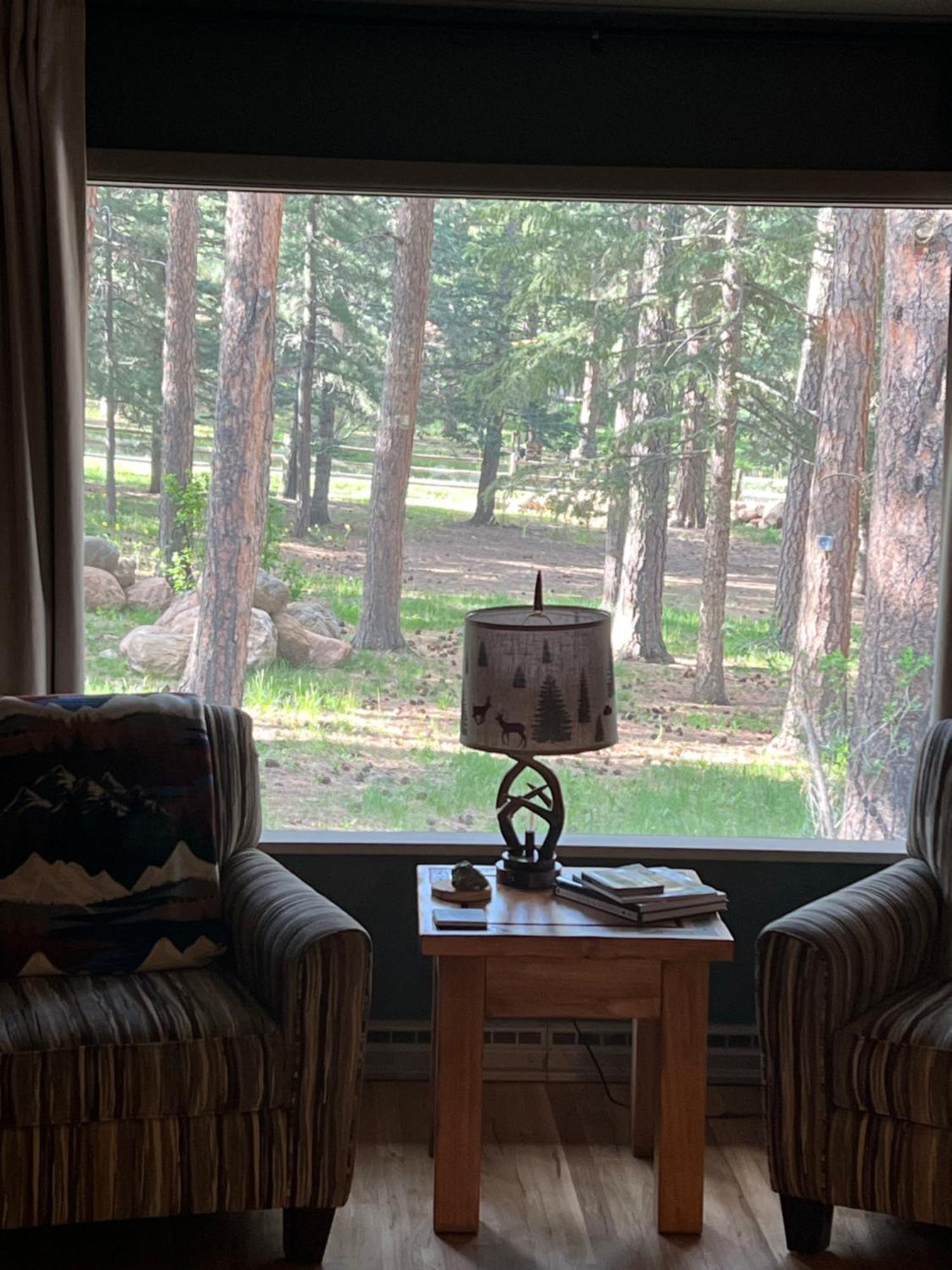 Cozy Cabin On The Creek Colorado City Exterior photo